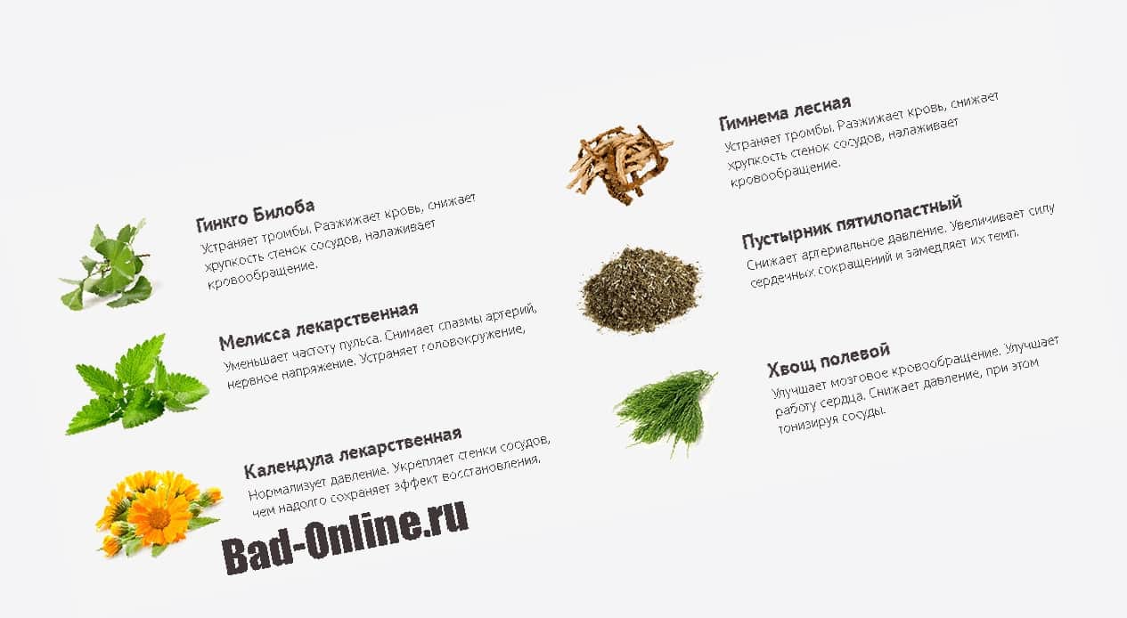 Полный состав препарата на сайте Bad-Online.ru